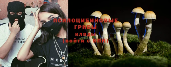 Альфа ПВП Горно-Алтайск