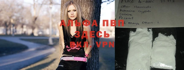 Альфа ПВП Горно-Алтайск