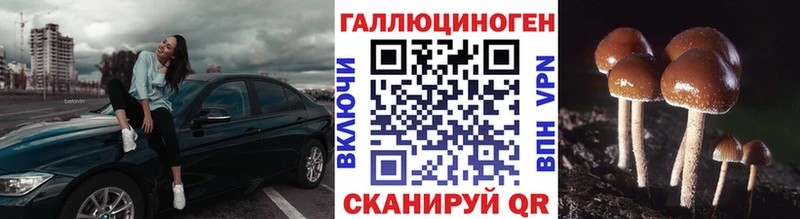 Галлюциногенные грибы мицелий  нарко площадка состав  Омутнинск  даркнет сайт 